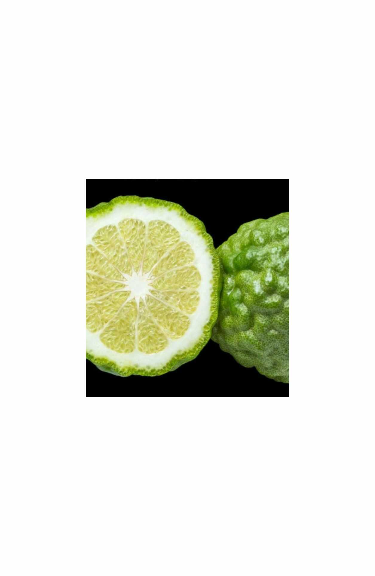 YODEYMA, CHEANTE, Eau de Parfum, YODEYMA CHEANTE, YODEYMA, damesparfum, oriëntaals amber parfum, luxe dames parfum, parfum met roos en patchouli, dames Eau de Parfum, YODEYMA parfum, kopen, betaalbaar luxe parfum, YODEYMA parfum Nijmegen, parfum kopen bij CHARRA, damesparfum CHARRA Nijmegen, luxe parfum online bestellen, Chanel, Coco Mademoiselle