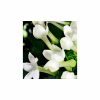 Narciso Rodriguez For Her, YODEYMA NICOLÁS FOR HER, YODEYMA damesparfum, dames parfum, witte muskus, luxe dames parfum, floral houtachtig, parfum vrouw, YODEYMA parfum kopen, damesparfum met vetiver, parfum met oranjebloesem, chic dames parfum, parfum voor moderne vrouw, YODEYMA parfum Nijmegen, parfum kopen bij CHARRA, damesparfum, CHARRA Nijmegen, luxe parfum online bestellen, YODEYMA parfum Nederland, goedkoop dames parfum.