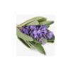 YODEYMA BEACH Eau de Parfum - 15 ml