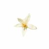 YODEYMA RESOLU Eau de Parfum – 50 ml