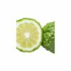 YODEYMA Caribbean, YODEYMA heren parfum, Caribbean Eau de Parfum 100 ml, fris heren parfum, houtachtig mannen parfum, amberachtig parfum heren, heren parfum aanbieding, langhoudend heren parfum, parfum heren 100 ml YODEYMA parfum kopen, heren geur, CHARRA parfum Nijmegen, Dolce & Gabbana, Light Blue Pour Homme, Bleu de Chanel, online parfum kopen, parfum kopen in Nijmegen centrum, YODEYMA parfum kopen, heren geur, CHARRA parfum Nijmegen, Dolce & Gabbana, Light Blue Pour Homme, Bleu de Chanel, online parfum kopen, parfum kopen in Nijmegen centrum, YODEYMA Caribbean, YODEYMA heren parfum, Caribbean Eau de Parfum 100 ml, fris heren parfum, houtachtig heren parfum, amberachtig parfum heren, mannen parfum YODEYMA, heren geur kopen, parfum heren aanbieding, CHARRA Nijmegen