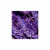 YODEYMA Caribbean, YODEYMA heren parfum, Caribbean Eau de Parfum 100 ml, fris heren parfum, houtachtig mannen parfum, amberachtig parfum heren, heren parfum aanbieding, langhoudend heren parfum, parfum heren 100 ml YODEYMA parfum kopen, heren geur, CHARRA parfum Nijmegen, Dolce & Gabbana, Light Blue Pour Homme, Bleu de Chanel, online parfum kopen, parfum kopen in Nijmegen centrum, YODEYMA parfum kopen, heren geur, CHARRA parfum Nijmegen, Dolce & Gabbana, Light Blue Pour Homme, Bleu de Chanel, online parfum kopen, parfum kopen in Nijmegen centrum, YODEYMA Caribbean, YODEYMA heren parfum, Caribbean Eau de Parfum 100 ml, fris heren parfum, houtachtig heren parfum, amberachtig parfum heren, mannen parfum YODEYMA, heren geur kopen, parfum heren aanbieding, CHARRA Nijmegen