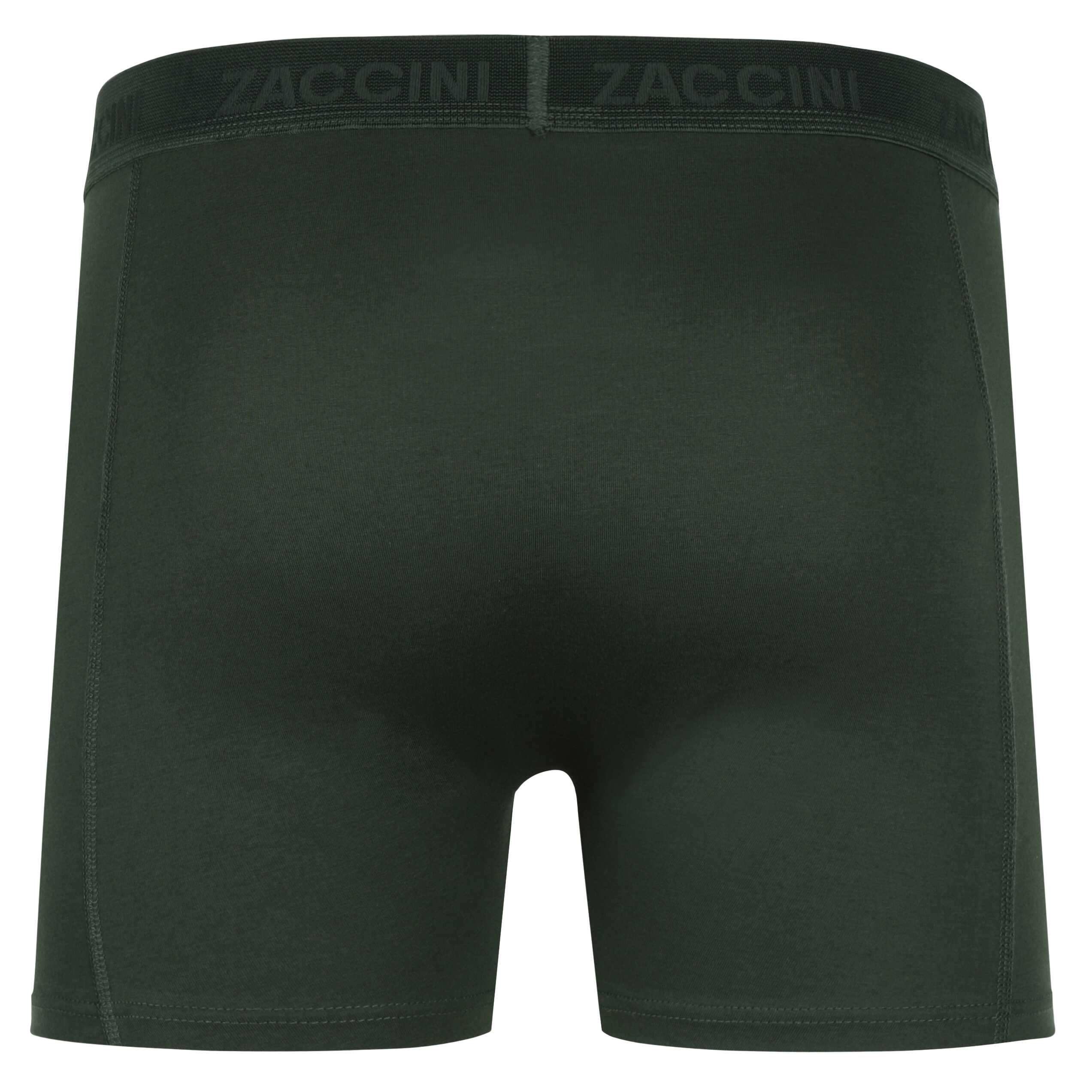 Zaccini 2-Pack perfect fit Allover Bladeren Motieven Heren Boxershorts – Groen, Comfortabel, Stijlvol en Perfecte Pasvorm