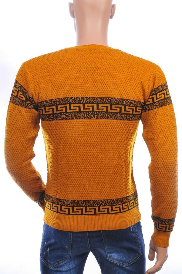 CI-BORG trendy allover modern dessin ronde hals dunne heren trui Oranje
