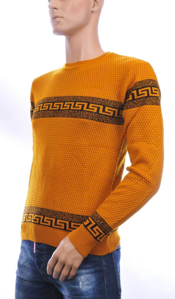 CI-BORG trendy allover modern dessin ronde hals dunne heren trui Oranje