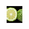 Yodeyma Blue Sand Eau de Parfum – 50 ml