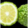 YODEYMA Acqua Per Uomo Eau de Parfum voor heren met frisse bergamot, aquatische geurnoten en warme houtnoten in 15 ml, 50 ml en 100 ml.