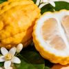 YODEYMA Dorian Eau de Parfum voor heren Aromatic Citrus parfum met citroen, neroli en zwarte thee verkrijgbaar bij CHARRA Nijmegen.